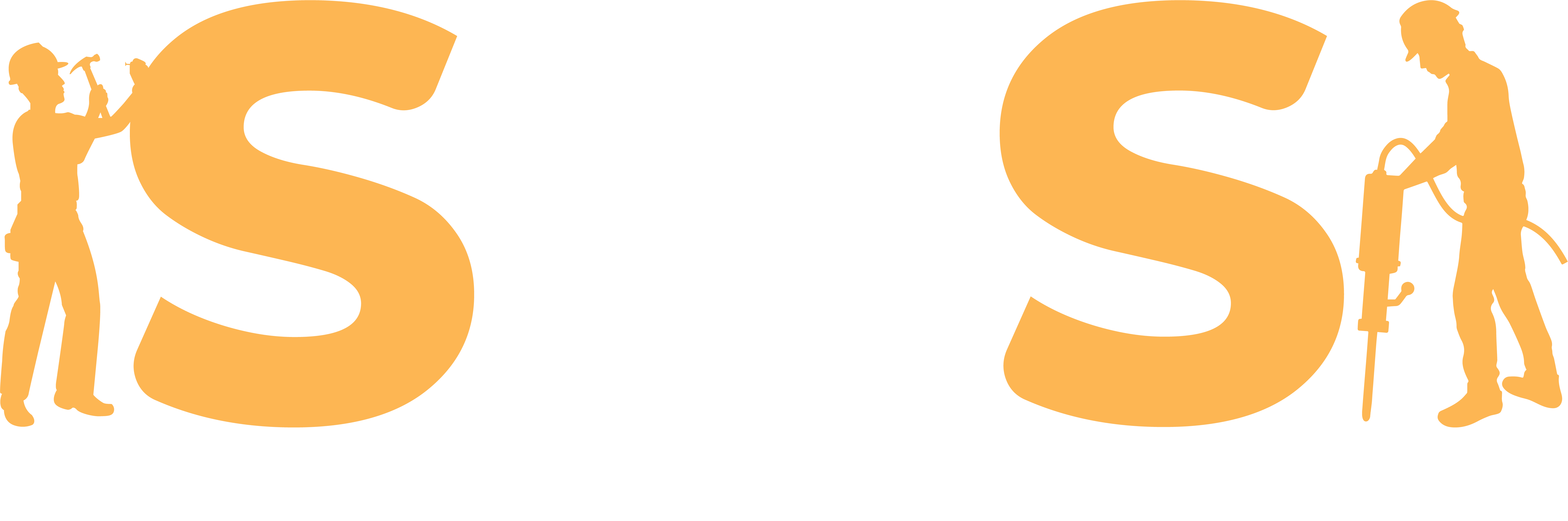 Logo de SMS Perimetrales SpA